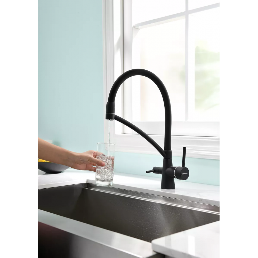 Смеситель Paulmark Siegen однорычажный с гибким шлангом