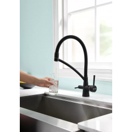 Смеситель Paulmark Siegen однорычажный с гибким шлангом