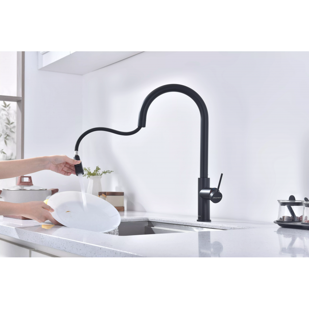 Смеситель Paulmark Galant под фильтр для воды однорычажный