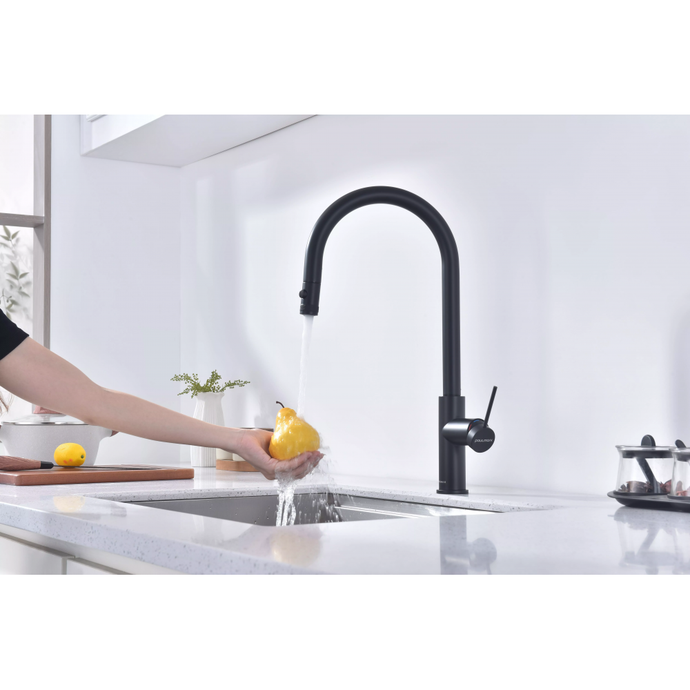 Смеситель Paulmark Galant под фильтр для воды однорычажный