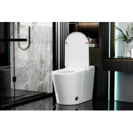 Электронный унитаз-биде ABBER Bequem AC1117S приставной белый