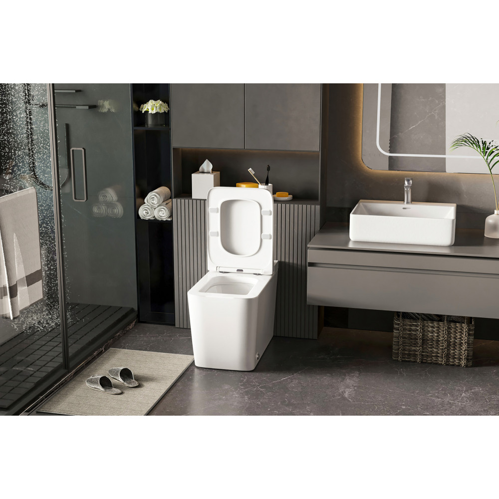 Унитаз ABBER Rechteck AC1212P приставной белый с импульсным смывом