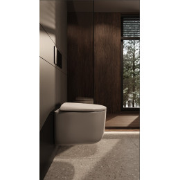 Flow подвесной унитаз глянец белый с крышкой, функция Торнадо