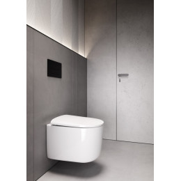 Flow подвесной унитаз глянец белый с крышкой, функция Торнадо