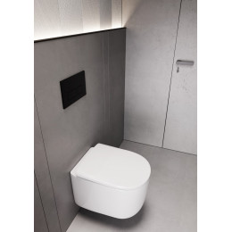 Flow подвесной унитаз глянец белый с крышкой, функция Торнадо