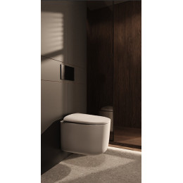 Flow подвесной унитаз глянец белый с крышкой, функция Торнадо