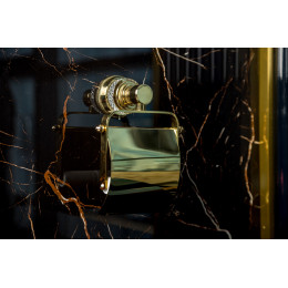 Держатель для туалетной бумаги с крышкой AURA Gold