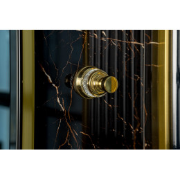 Крючок AURA Gold