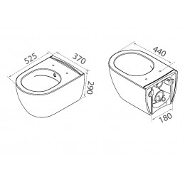 Bianca подвесной унитаз с биде белый матовый с крышкой