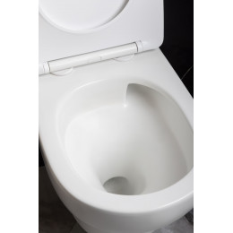 Унитаз подвесной с функцией биде FIORE Белый матовый c крышкой, функция Торнадо
