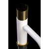 Смеситель STICK для умыв. выс. GOLD TOUCH CHROME_Комплект