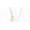 Керамический гранит AZARIO BIANKA WHITE 60х120 Glossy