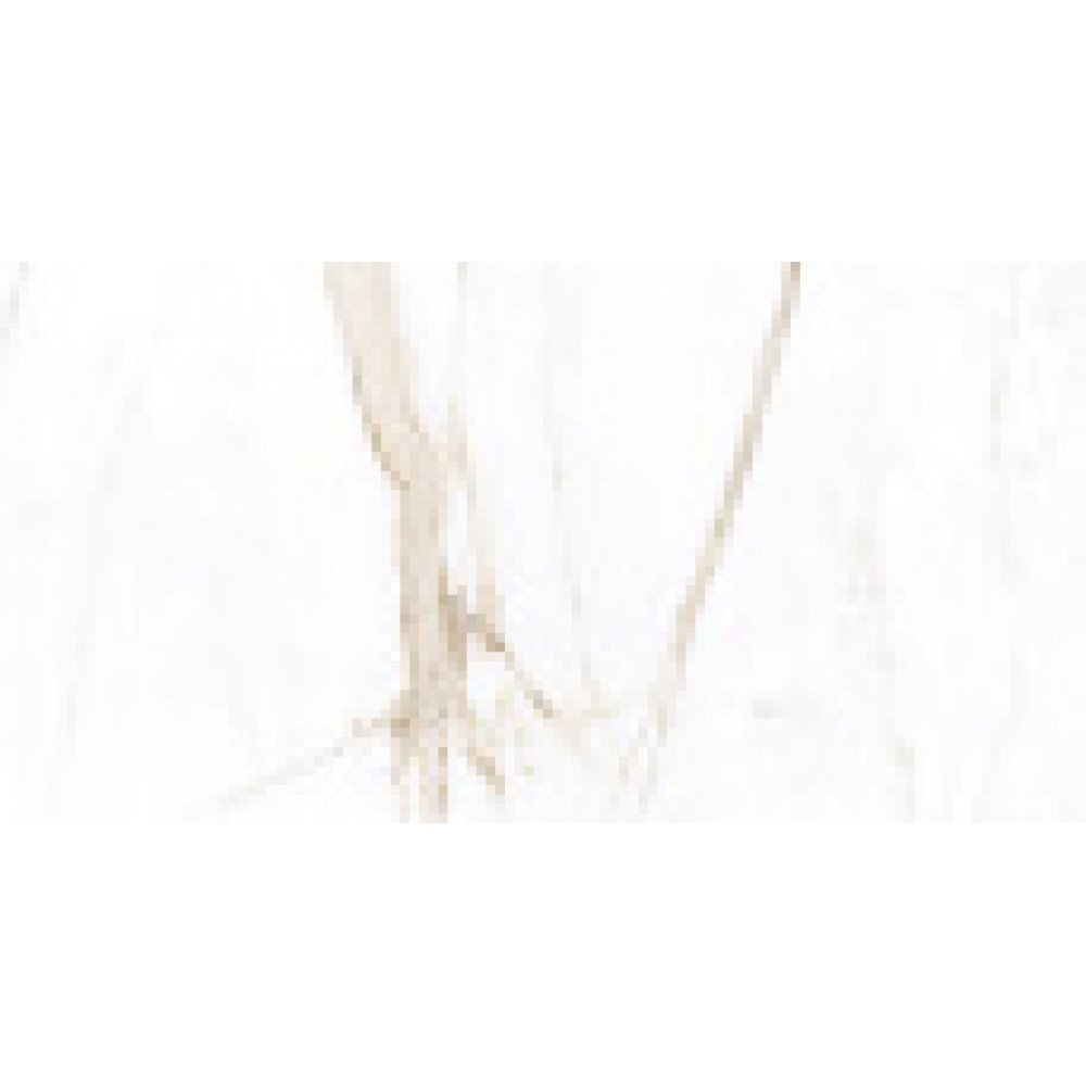 Керамический гранит AZARIO BIANKA WHITE 60х120 Glossy