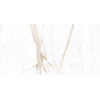 Керамический гранит AZARIO BIANKA WHITE 60х120 Glossy