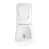 AZ-5172T-WHT PACE Унитаз подвесной с системой смыва Tornado в комплекте с быстросъемным сиденьем микролифт, дюропласт 520*360*365mm
