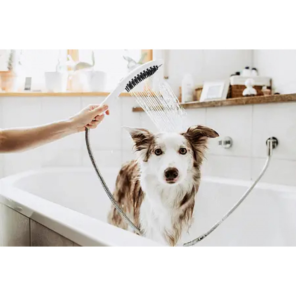 26640540 DogShower Душ для собак 150 3jet, с массажной струей, бирюзовый