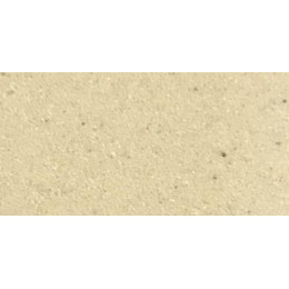 Кухонная Мойка Верона Одинар.с Крыл. ШампаньNEW