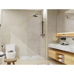 AZ-251-100-BGL-CL Душевая перегородка Walk-in, 100x195-BGL-CL, прозрачное стекло 8 мм, профиль брашированное золото