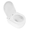 Rime Унитаз подвесной  с функцией торнадо, с сиденьем микролифт, дюропласт. 490*360*365mm (1 место)