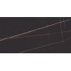 Керамический гранит AZARIO SHADOW DARK 60х120 High Glossy
