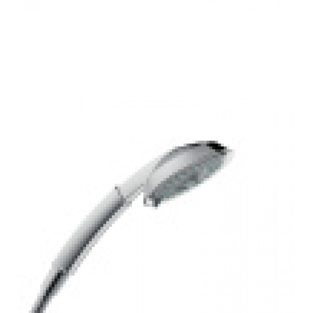28548000 Raindance Classic Ручной душ 100 3jet