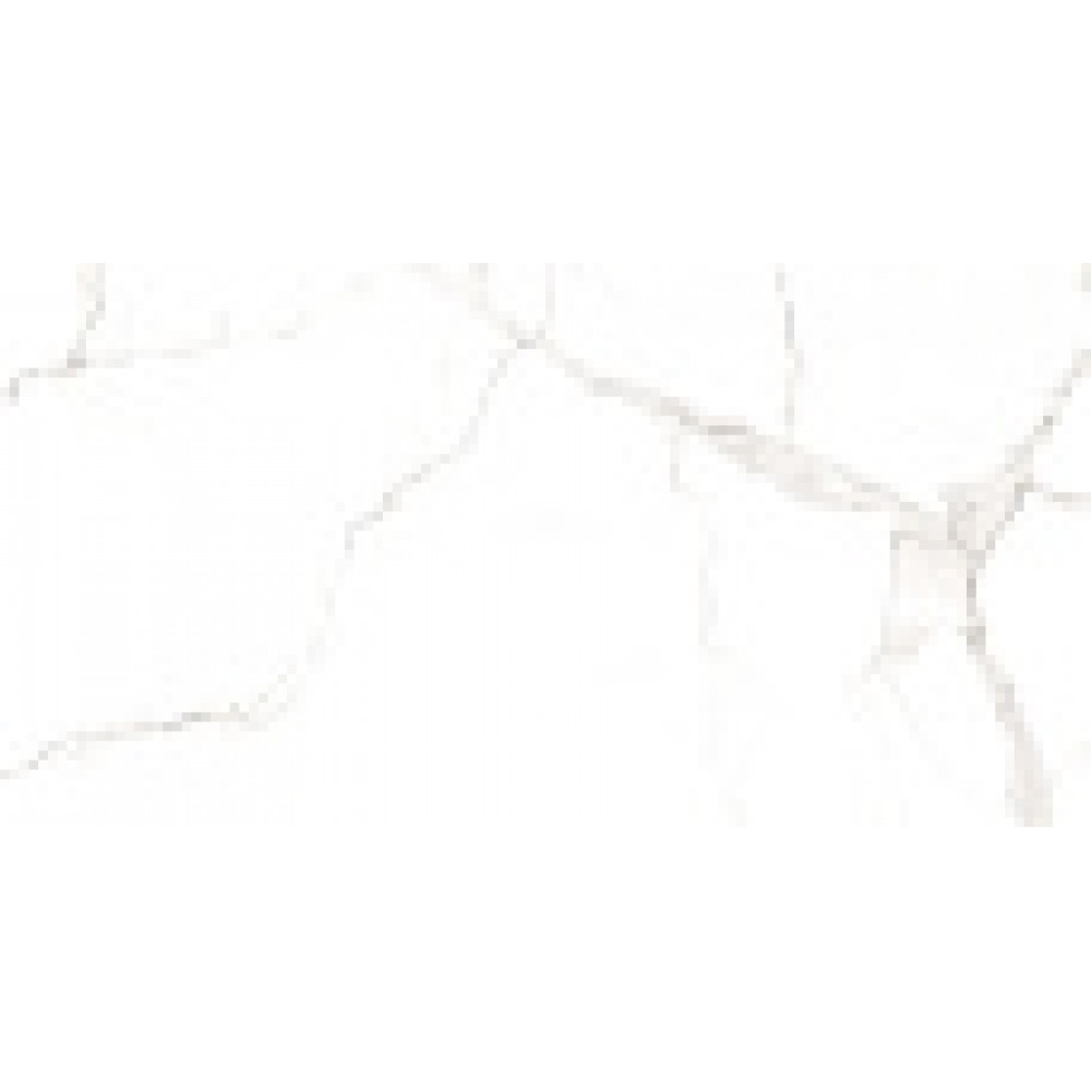 Керамический гранит AZARIO STATUARIO CLASSIC 60х120 Matt