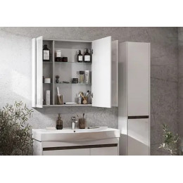 Зеркало-шкаф Нортон 100