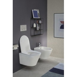 Сиденье термодюропласт E23280-00 "RODIN+" Сиденье термодюропласт, тонкое, микролифт, белый