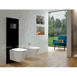 R0121AA OLEAS™ M2 Механическая панель смыва (гл хром)