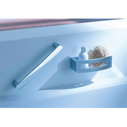 11658010000 Elegance NEW Корзинка для губки, хром