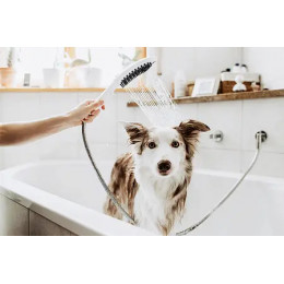 26640560 DogShower Душ для собак 150 3jet, с массажной струей, розовый