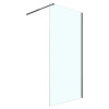 Душевая перегородка Walk-in CS-W04B-120 120x200, 8 мм профиль черный матовый
