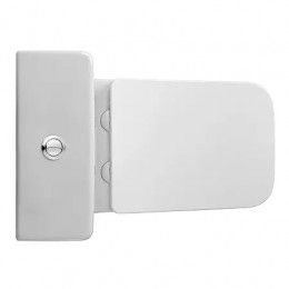 Azario Brizo AZ-2905T (Торнадо) напольный безободковый унитаз в комплекте с бачком и сидением микролифт и арматурой 635*385*820mm