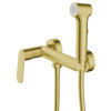 Alanti Гигиенический душ со смесителем, золото матовое