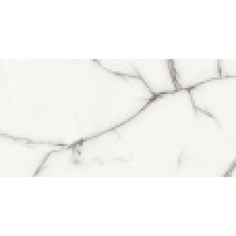 Керамический гранит AZARIO ONYX GREY 60х120 Glossy