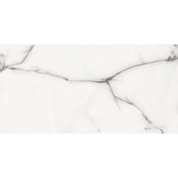 Керамический гранит AZARIO ONYX GREY 60х120 Glossy