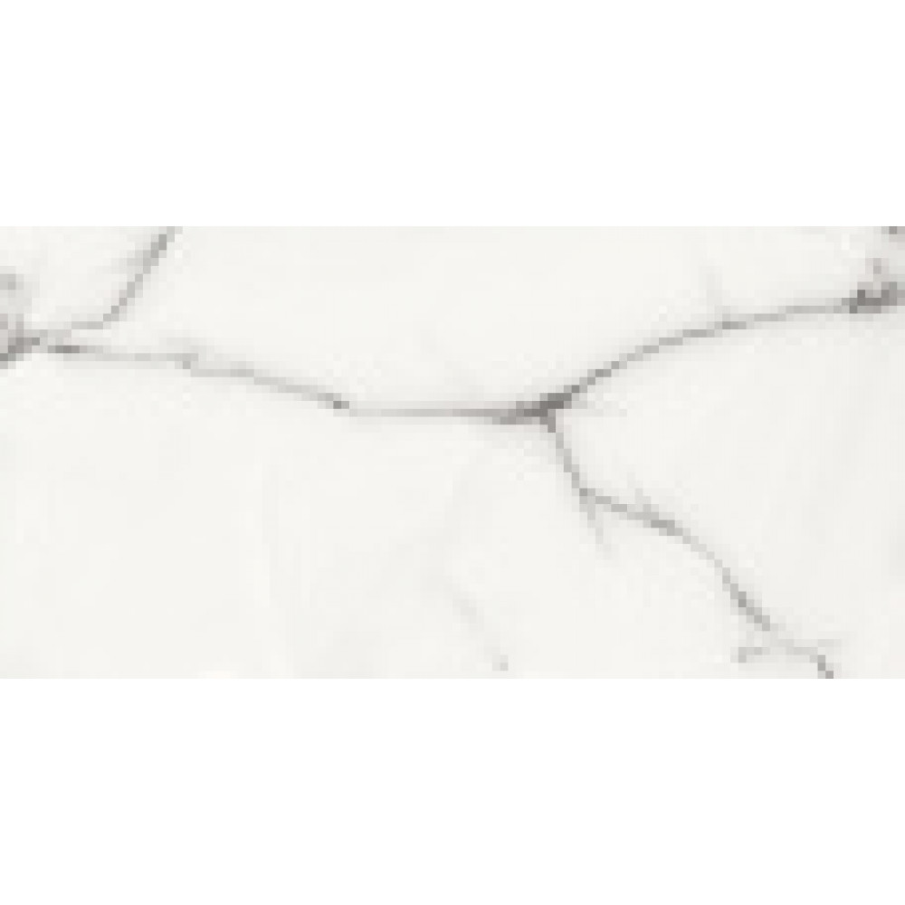 Керамический гранит AZARIO ONYX GREY 60х120 Glossy