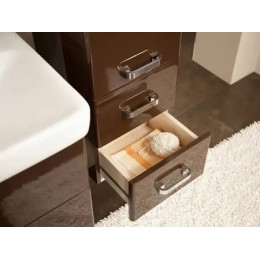 Полуколонна подвесная, Америна