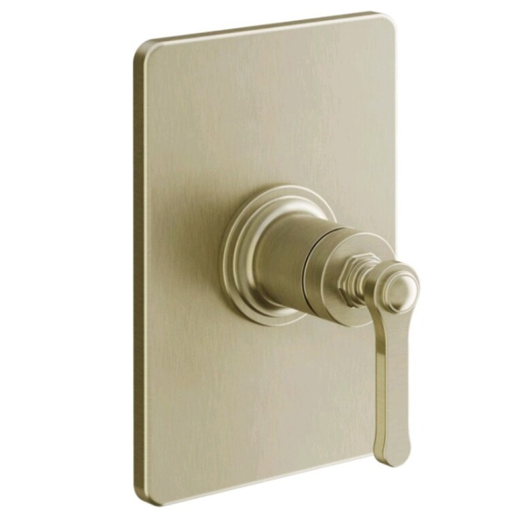 Смеситель для душа, Gessi, VENTI20, на 1 потребитель, цвет-Brushed Brass PVD