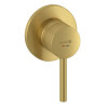 Смеситель для душа, Kludi, BOZZ, цвет-золото брашированное