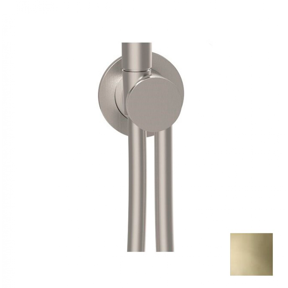 Шланговое подсоединение, Almar, Showers Accessories с держателем и шлангом, цвет-Gold Polished PVD (Товар заказной, возврату не подлежит)