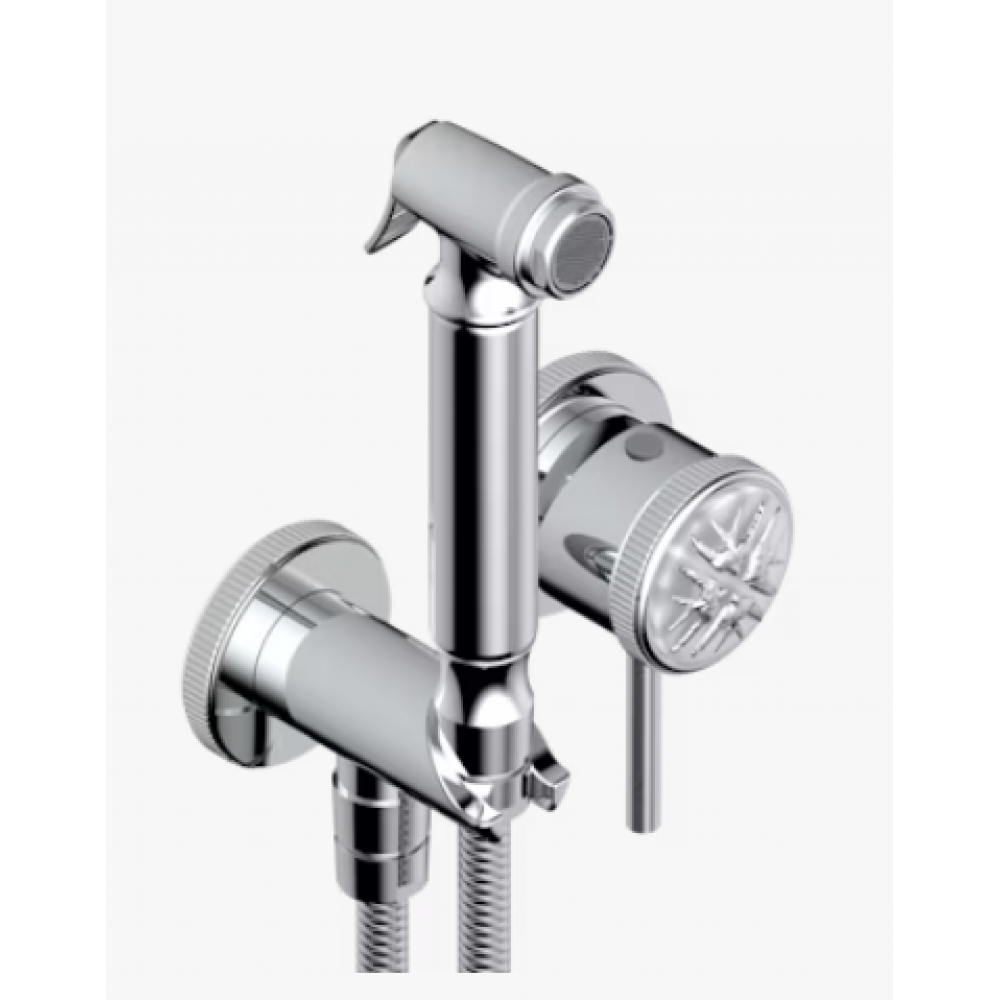 Гигиенический душ, THG, Hirondelles Platinum stamped, цвет-хром