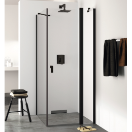 Дверь, Huppe, Design Pure, шв 1200*2000, серебро с ярким блеском, цвет стекла-прозрачный, Anti-Plaque