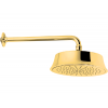 Верхний душ, Cisal, Chérie, шг 220*220, цвет-Gold