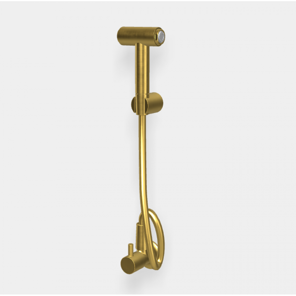 Гигиенический душ, Fima Carlo Frattini, Collettivita', цвет-брашированное золото