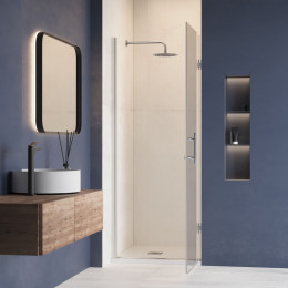 Душевая дверь RGW HO-011 700