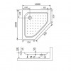 Душевой поддон трапеция RGW STYLE-TR  1000x1000