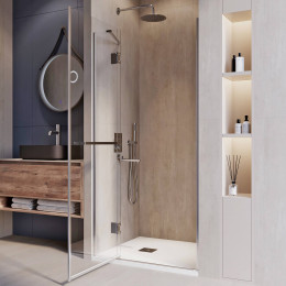 Душевая дверь RGW HO-008 1000