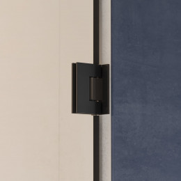 Душевая дверь RGW HO-012B 900