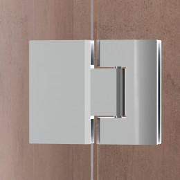 Душевая дверь RGW HO-008 1200